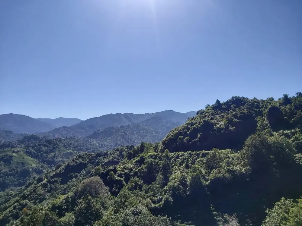 Özel Tatil Evi