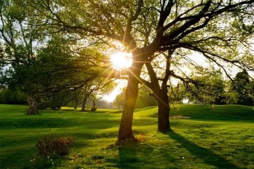 Kingswood Golf & Country Club