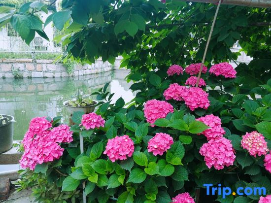 Yuhua Chunxiao Boutique Theme Inn
