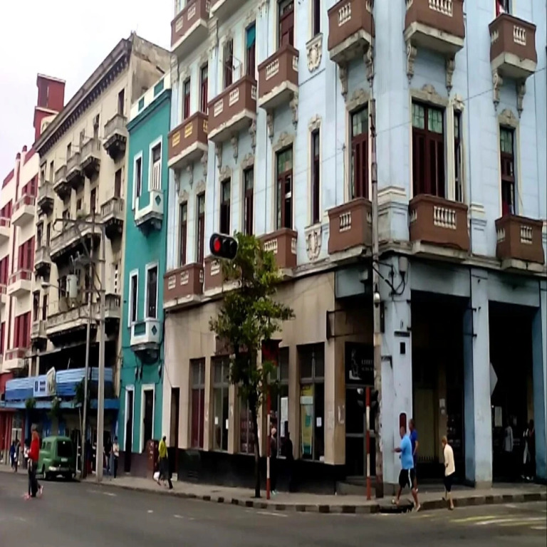 Yamila House