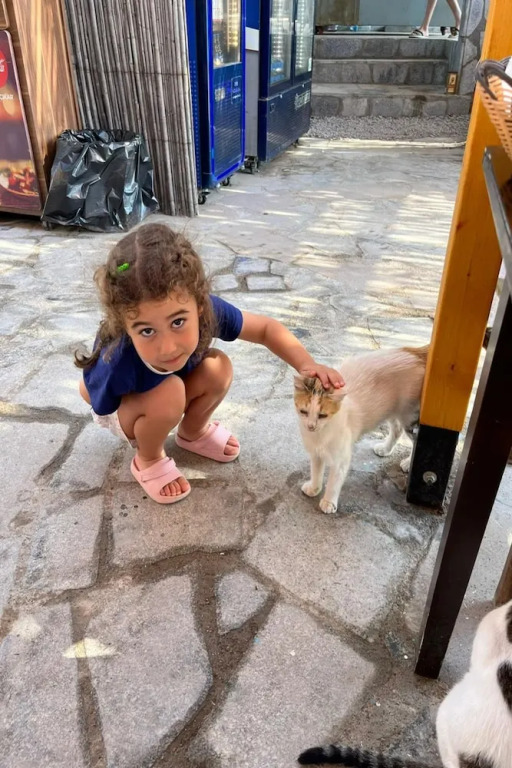 Ekin Assos
