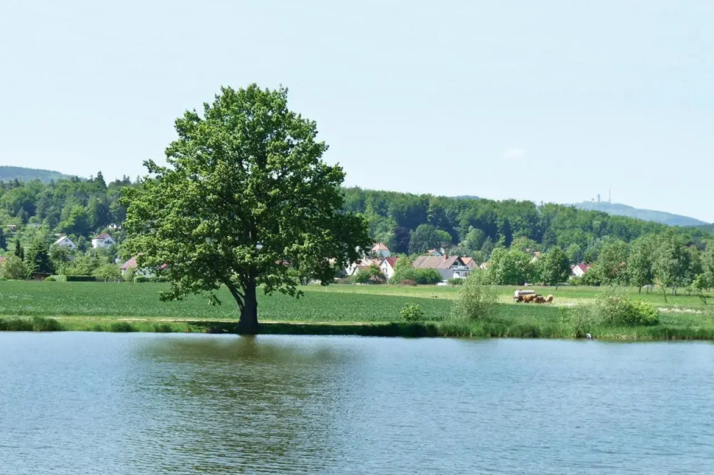 Landgasthof Zur Tanne