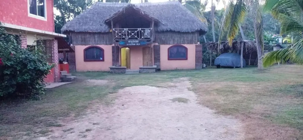 Iguana Loca 2