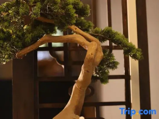Zhenyuan Diezhuang Youyi Nan'an Homestay