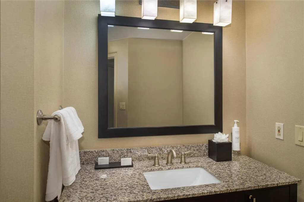 Embassy Suites by Hilton St Louis Airport