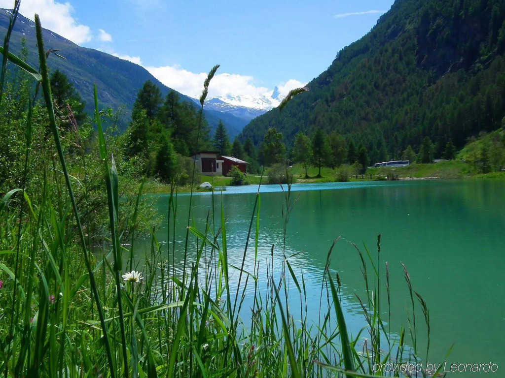 Monte Rosa Apartments Täsch