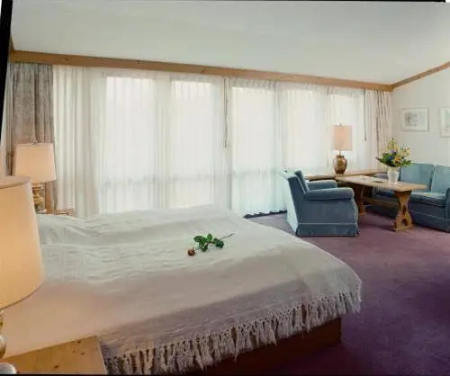 Chalet Hotel Grüning