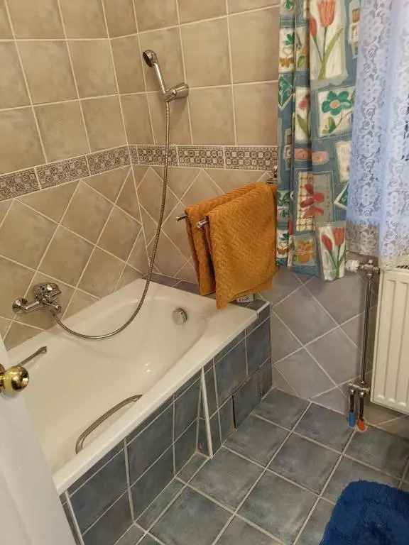 Bellevue Apartment with AC & heating & terrace