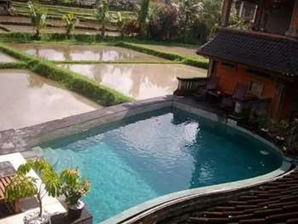 Alas Green Lagoon