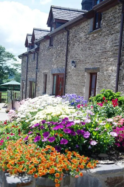Gwarffynnon