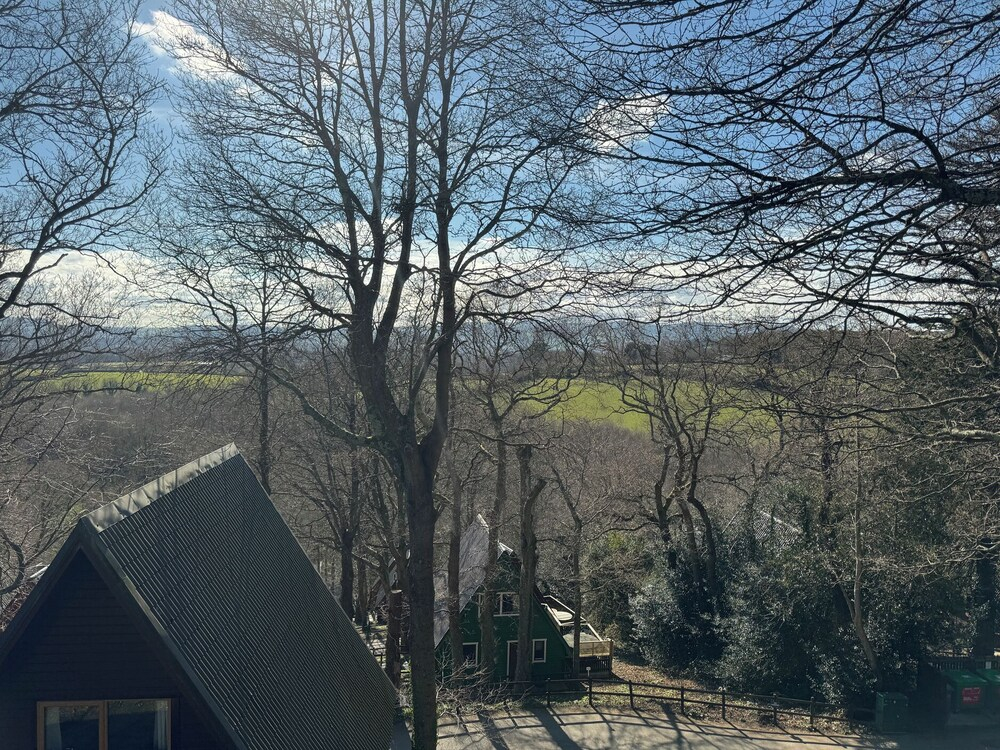 Tor View