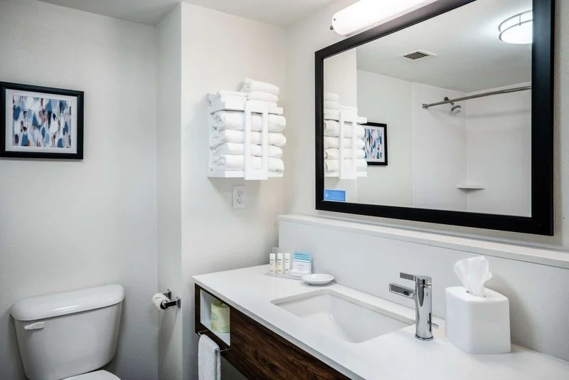 Hampton Inn & Suites Opelika