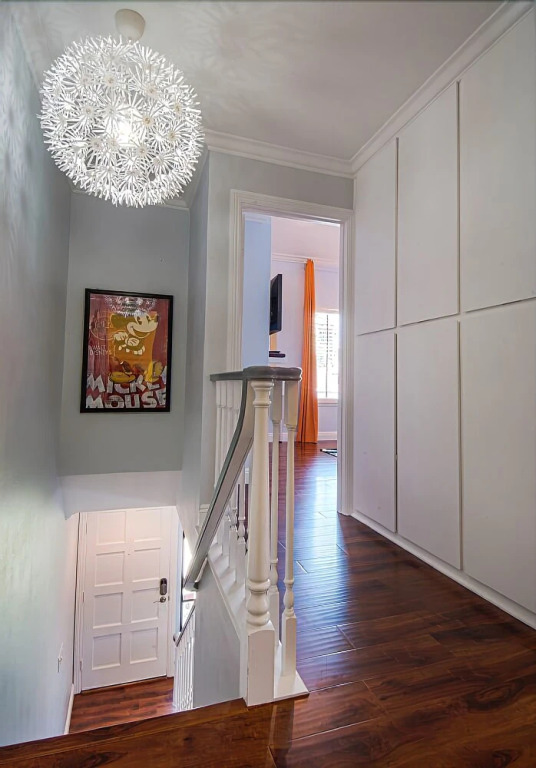Suite Escapes 3