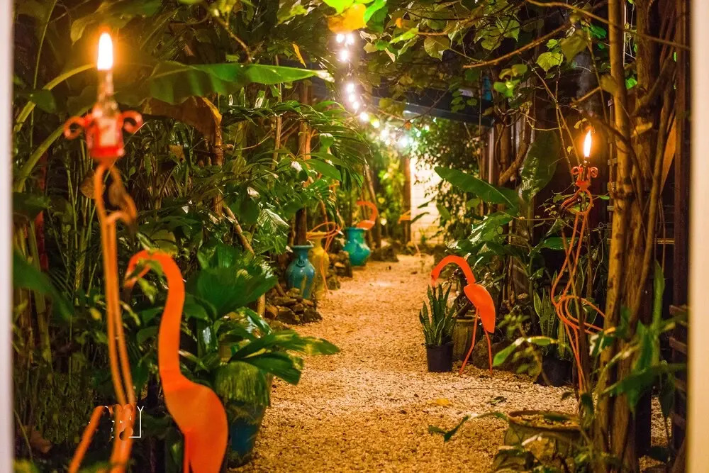 Wild Coffee Retreat - Adults Only