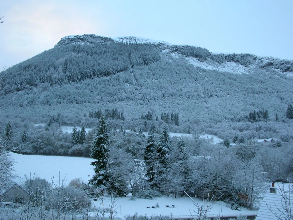 Darroch View B&B