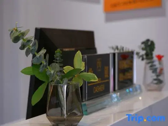 Shanwang Shanjian Homestay (Xuanneng Gongxiu Cruise House)