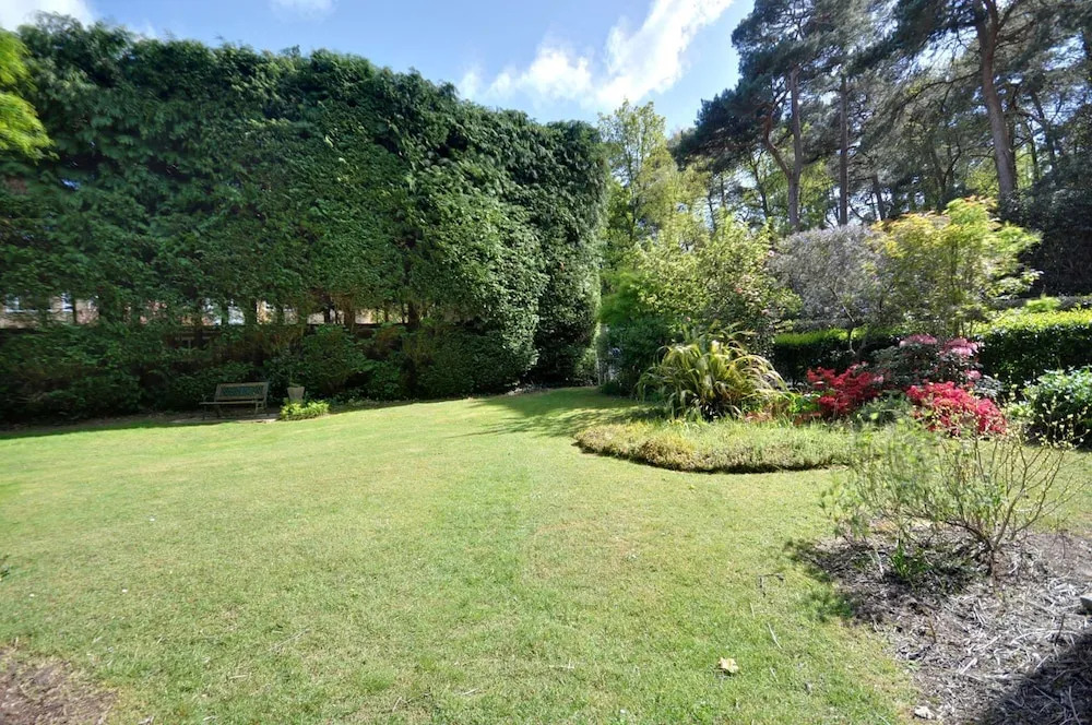 Verdant