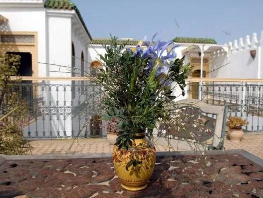 Riad AYA