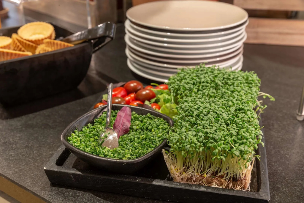 Holiday Inn - the niu, Franz Vienna by IHG