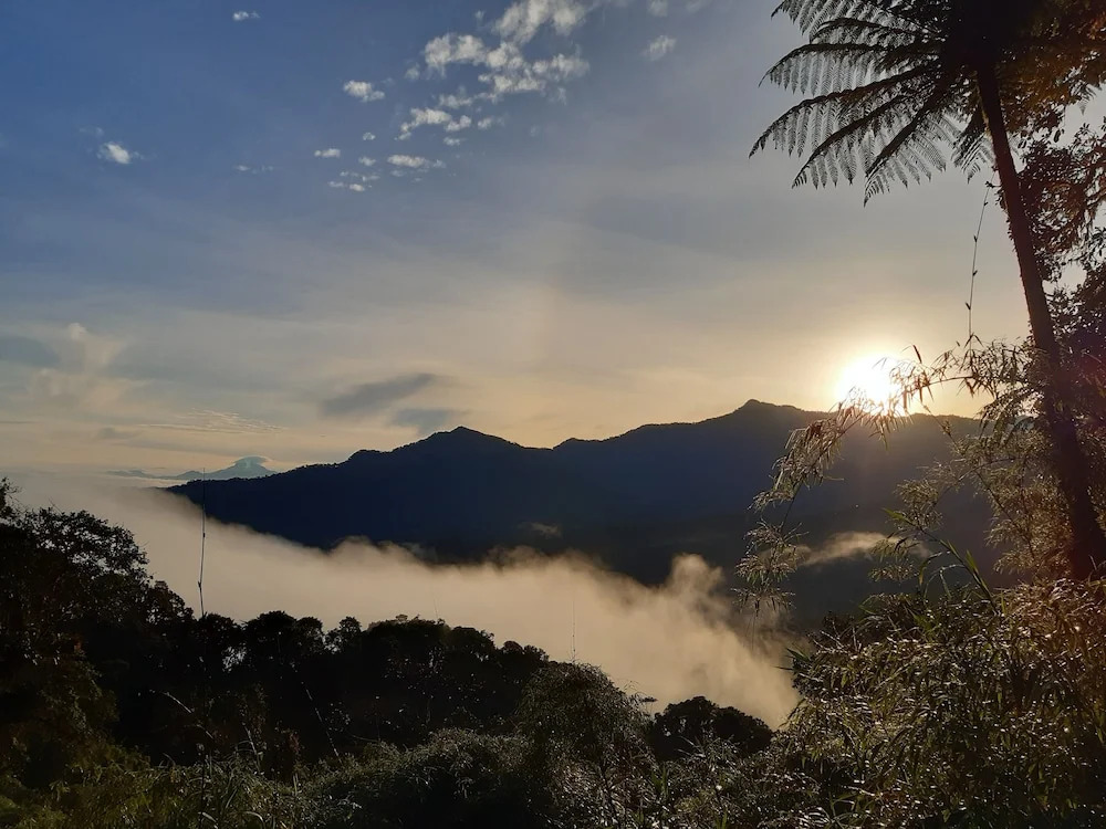 Bellavista Cloud Forest Lodge & Private Protected Area