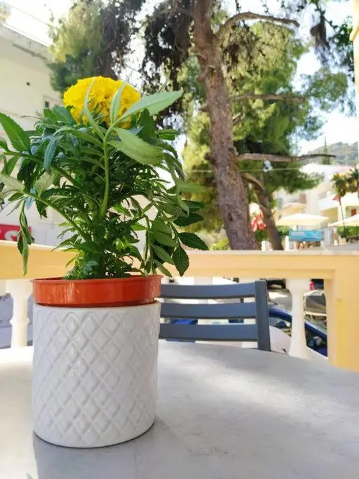 Chrysanthe's Apartments No4