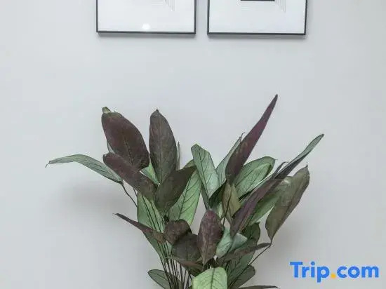JiuAnWangShi Island Homestay