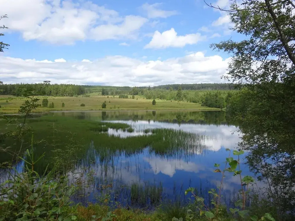 Nature Retreat in Waimes
