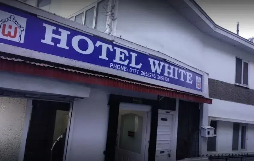 Hotel White
