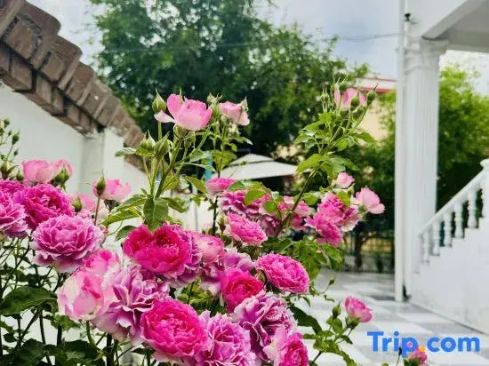 Yining Qingjushe Homestay