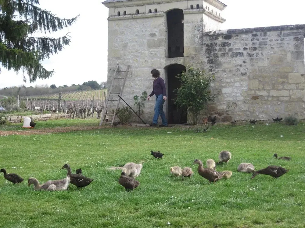 La Galotiere