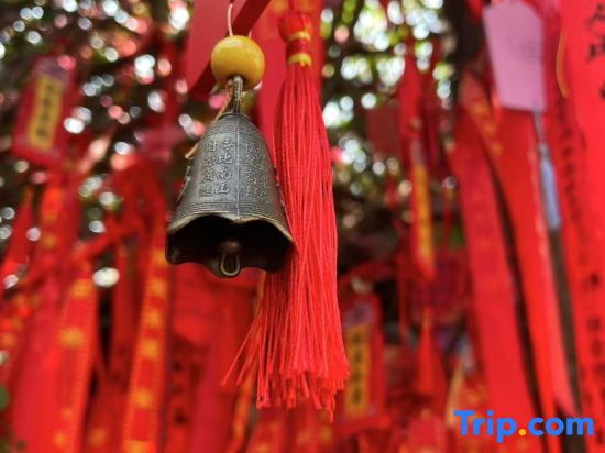 Tai'an  Jianguo Hidden Garden-style Hotel