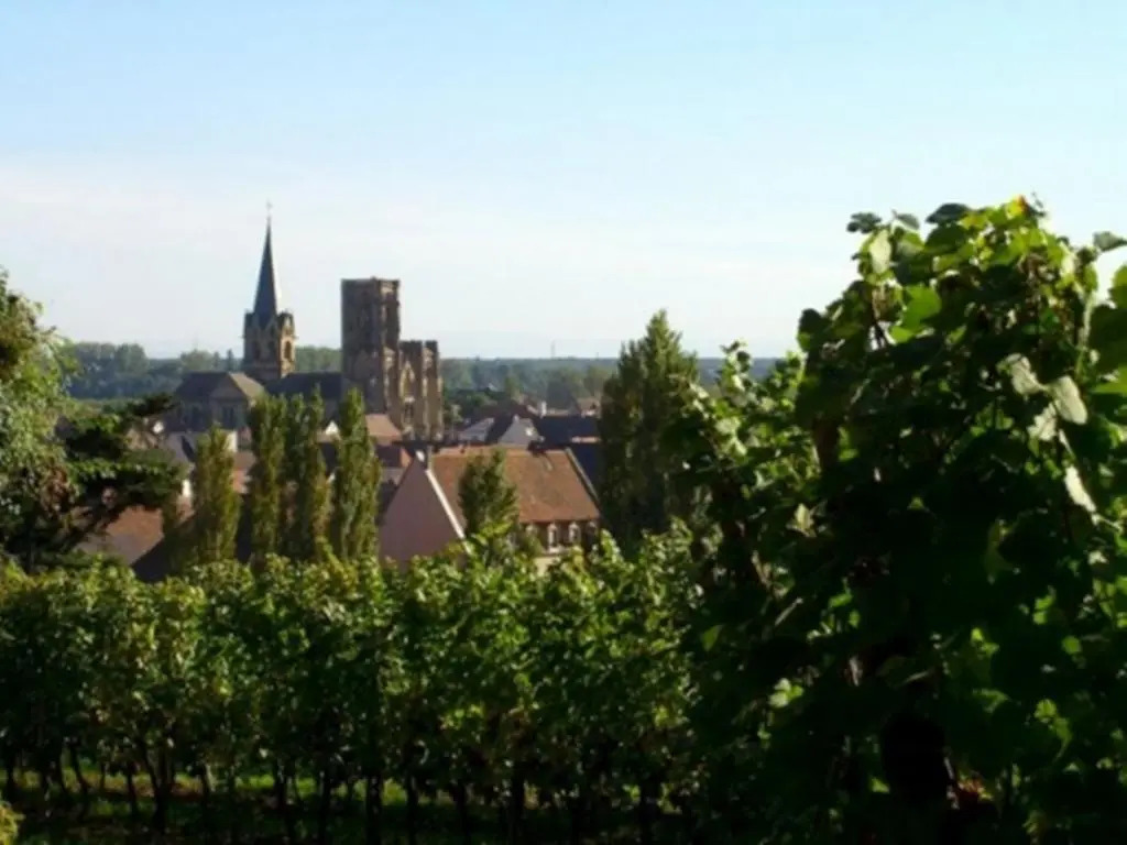 Studio Rouffach