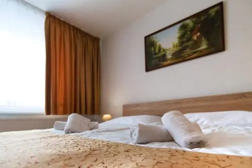 Hotel Lesana