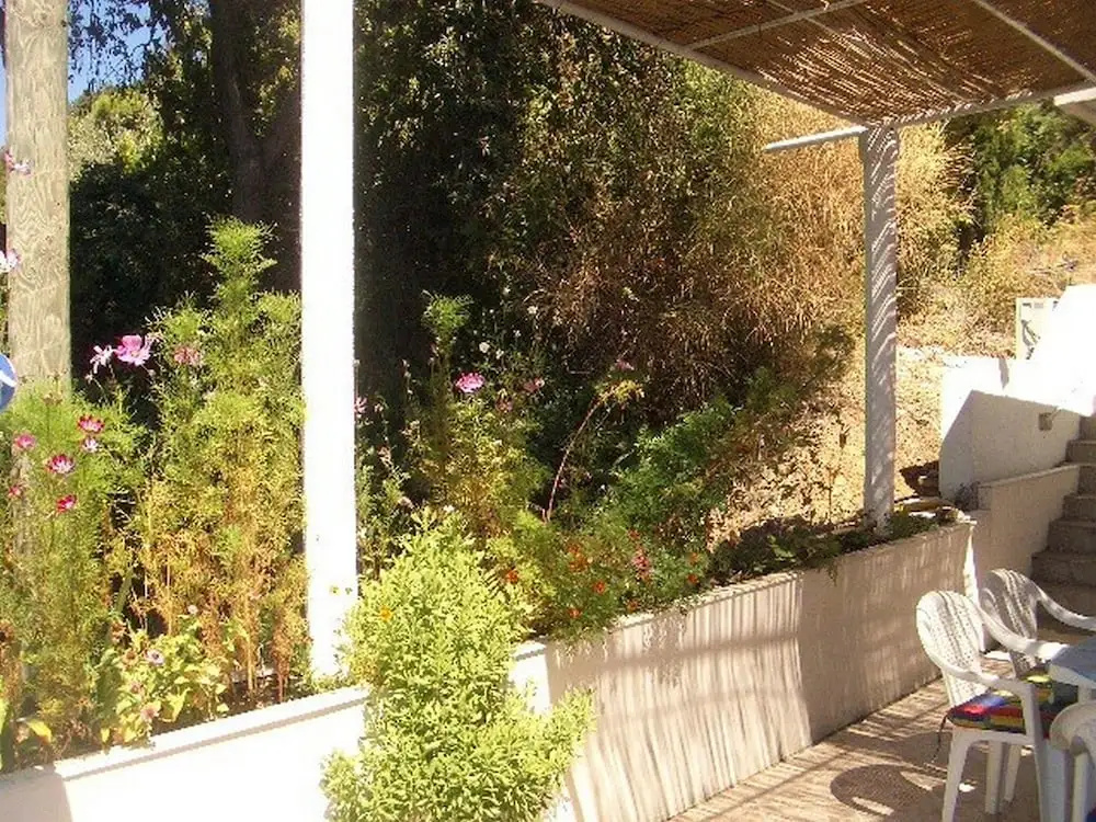 Apartment Dario