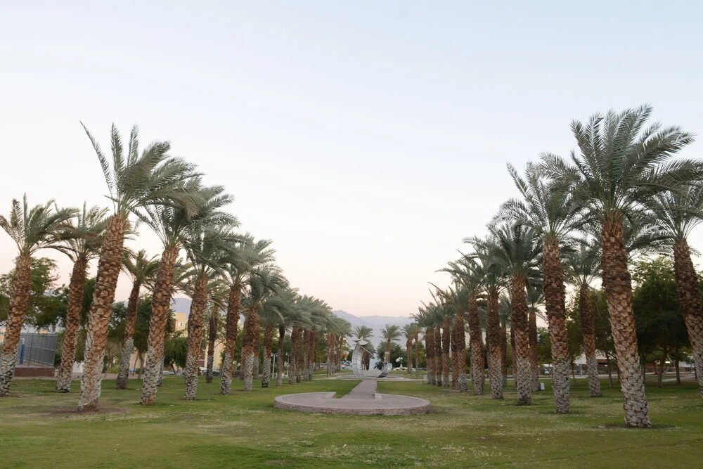 Zimmer-Eilat