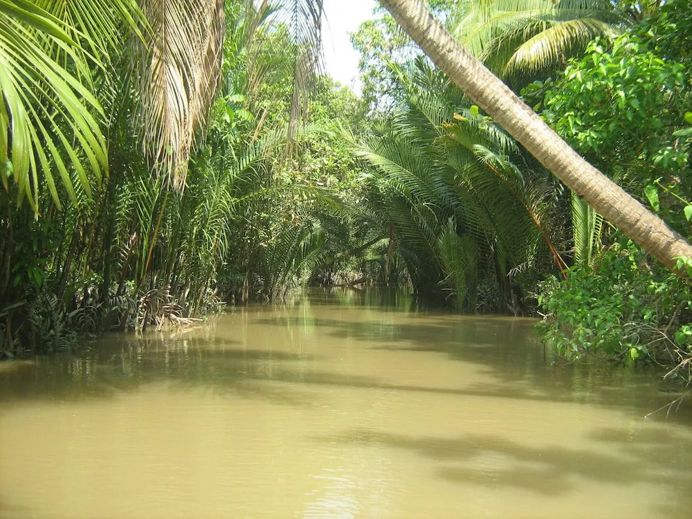 Coco Happy Farm