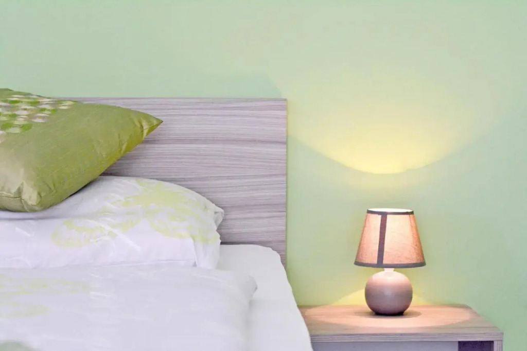 Guest House Rudine