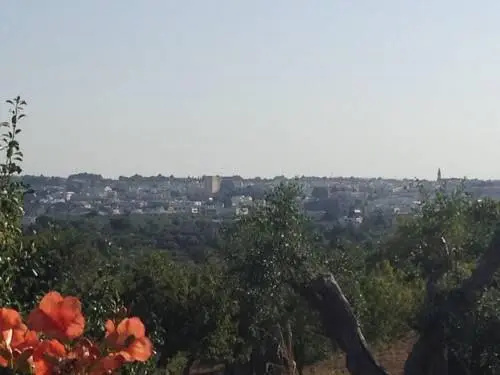 Villa Lippolis