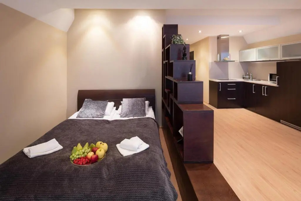 Specious Studio Apartment near of Town Center and Park, up to 4guests