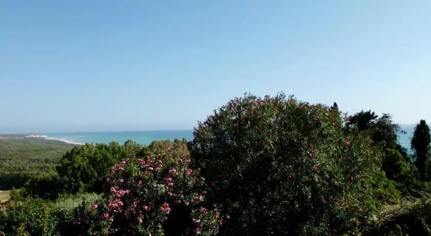 Villa Gelsomino
