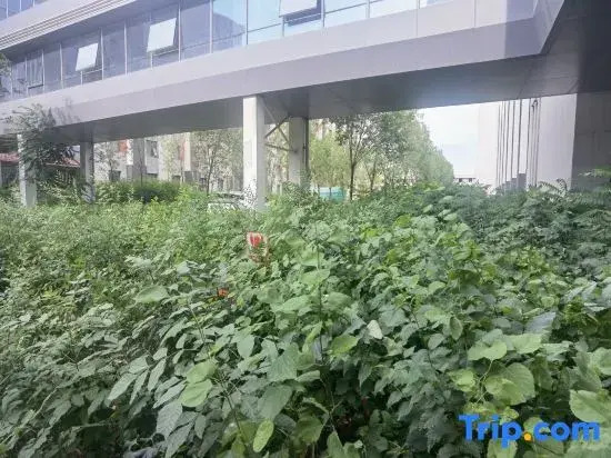 Xihe Hotel (Urumqi Airport)