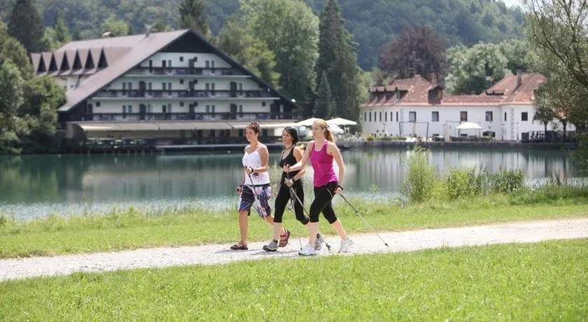 Hotel Bor & Grad Hrib