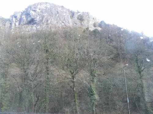 Stone Lodge