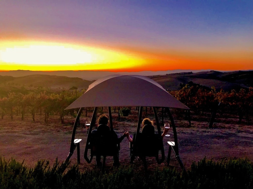 The Eden House Vineyard