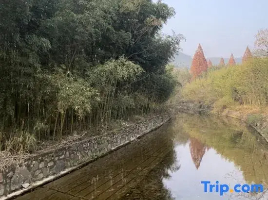 Moganshan Zedu'erqi Homestay
