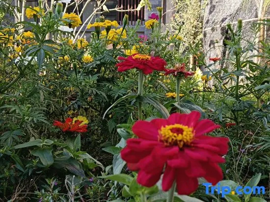 Tengchong Yuegu Hot Spring Homestay