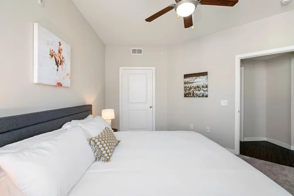 Dallas Beautiful 1BD 1BA Downtown Apartment