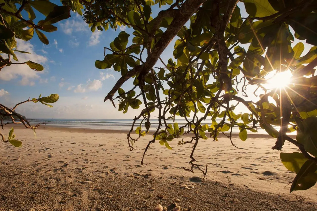 Sea Shell Resort & Spa, Havelock
