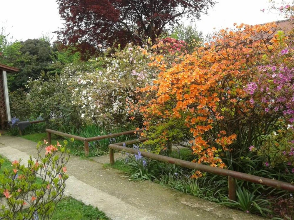 Cabañas El Jardin