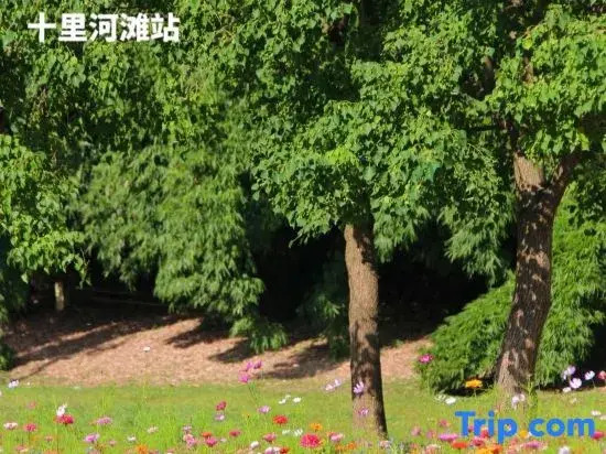 Yunyue Xingchen Homestay (Guiyang Huaxi Park Subway Station Guizhou University Huaxi South Campus)